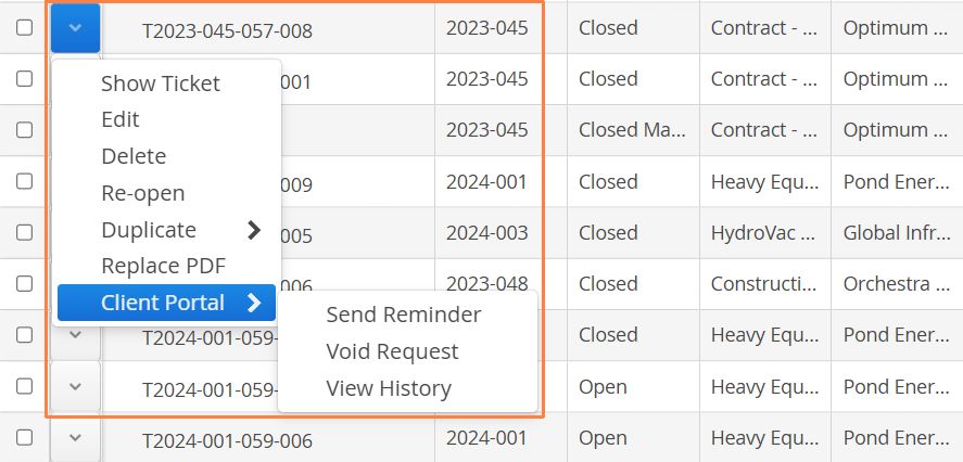 client-portal-options.jpg